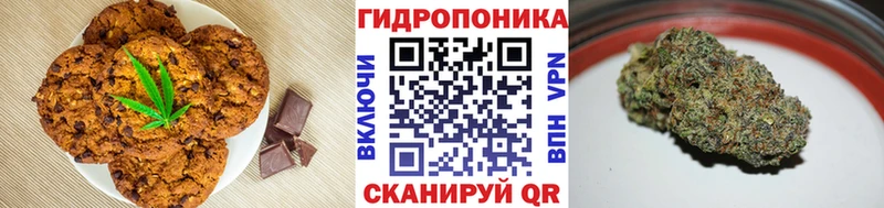 Canna-Cookies марихуана  Купить где  Ртищево 