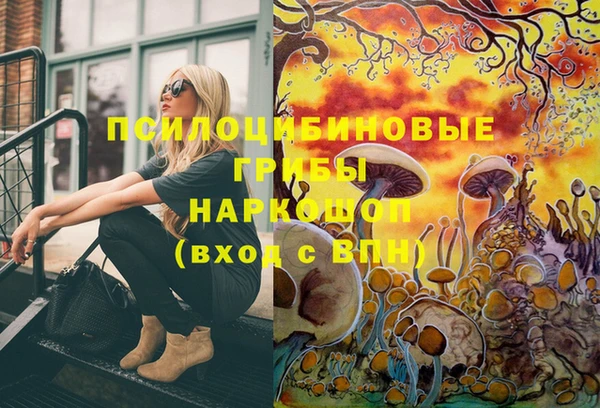 спиды Кулебаки