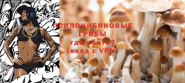 спиды Кулебаки