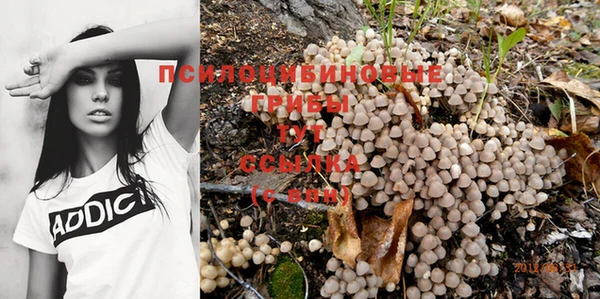 MDMA Куйбышев