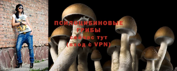 MDMA Куйбышев