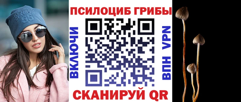 Галлюциногенные грибы ЛСД  Купить  Ртищево 